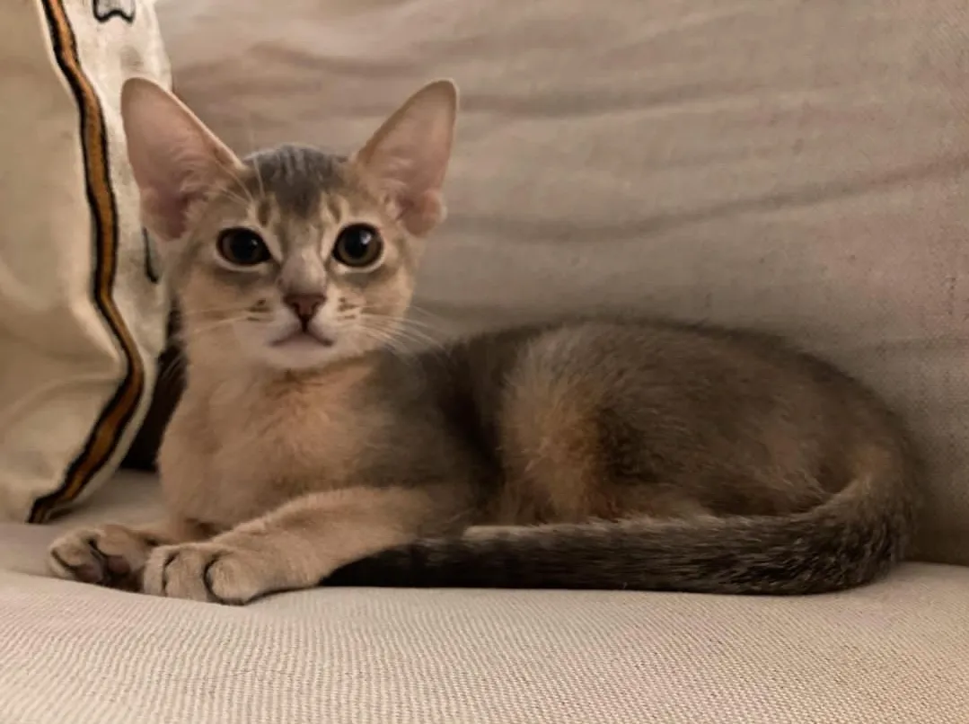 Chloe