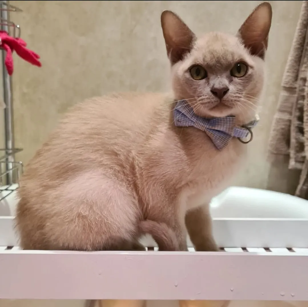 Benny