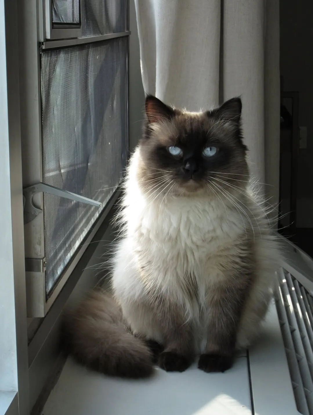 George