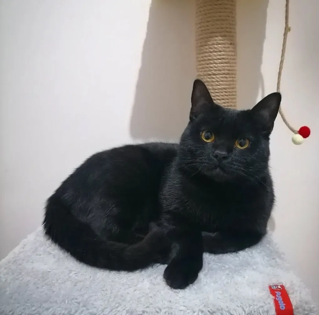 Lucy