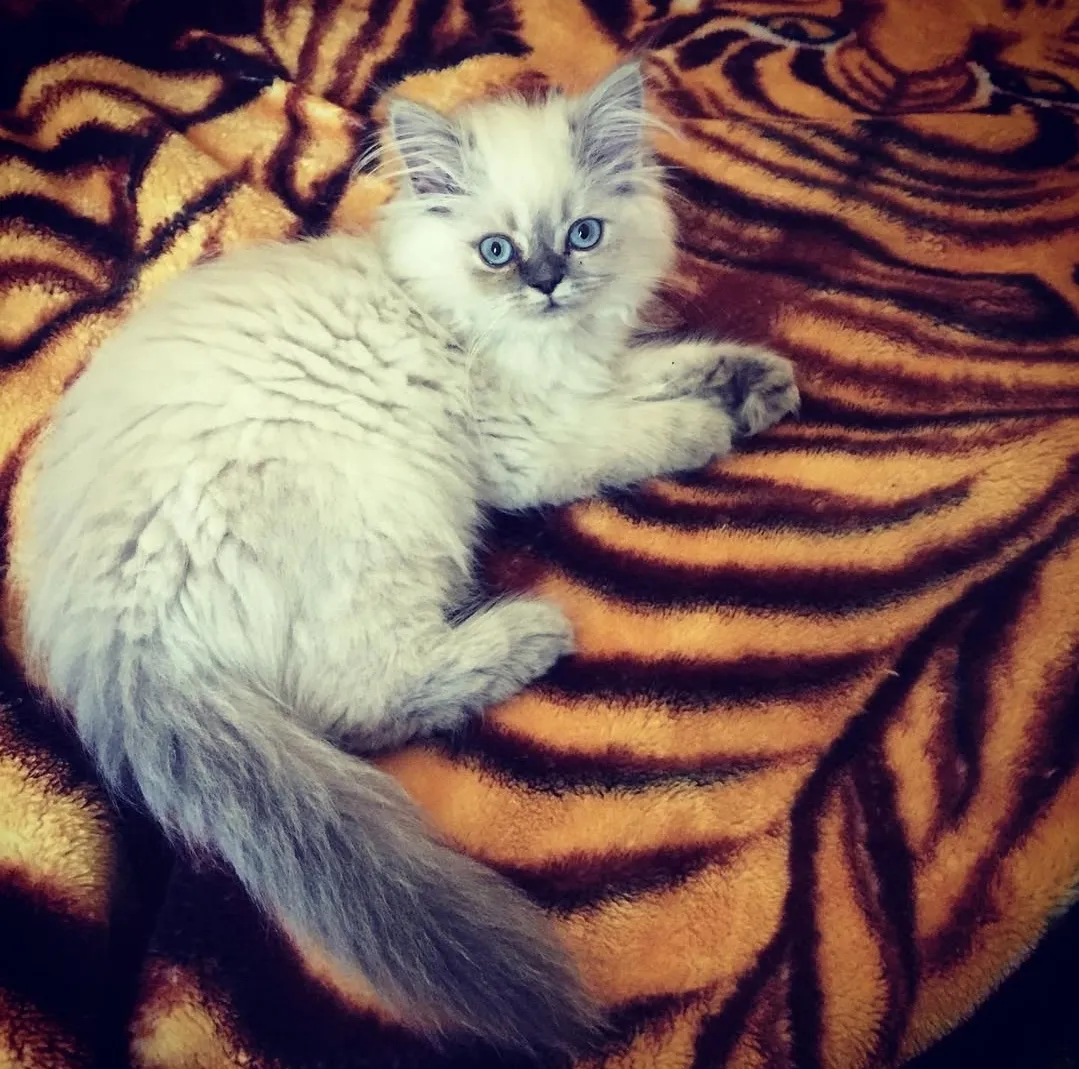 Stormy